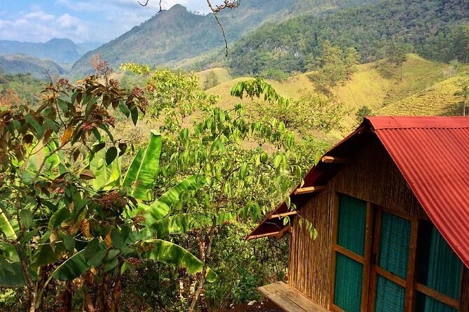 4 Hour Cacao Tour Experience - Good To Know