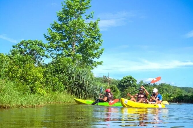 4-Hour Private Kayaking Experience in Galle - Good To Know