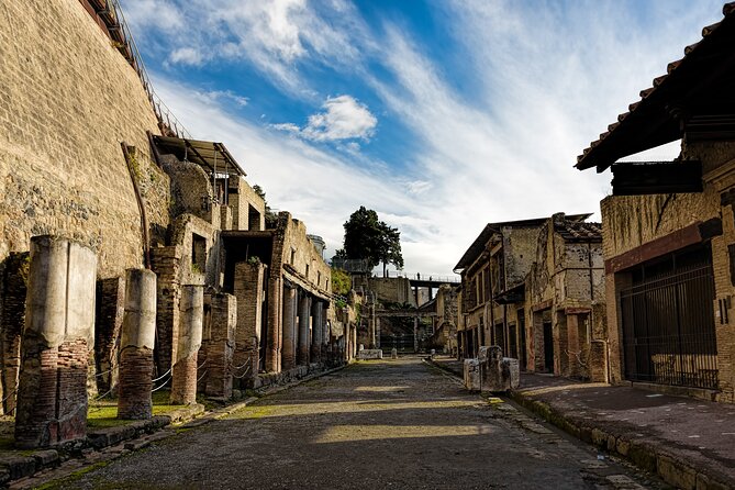 4 Hours Herculaneum Private Tour From Naples - Tour Highlights