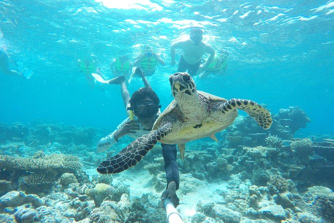 4-Night Maldives Guided Local Experience From Male Airport - Good To Know
