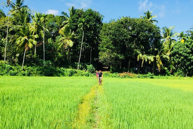 04 Day Explore Sri Lanka - What To Expect