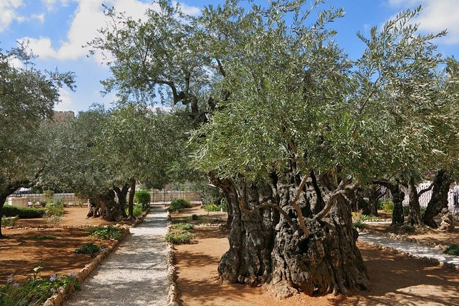09 Day Tour to Jordan & Israel Palestine - Frequently Asked Questions