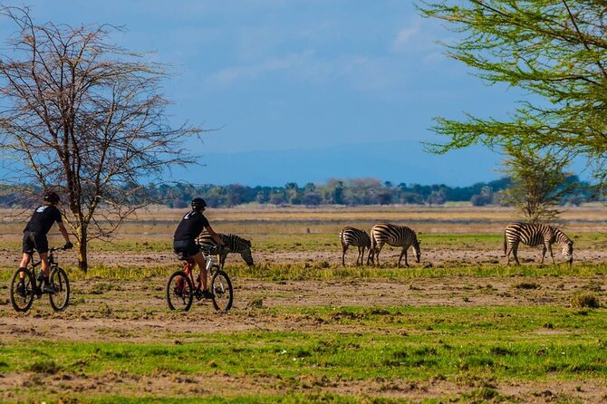 1 Day: Cycling Tour to Arusha National Park - Price and Booking Details