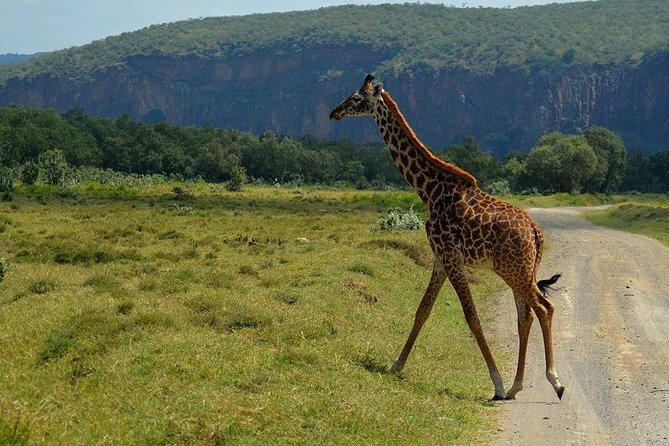 1 Day Hells Gate Bicycle Tour (minimum 2 Pax) - Cancellation Policy