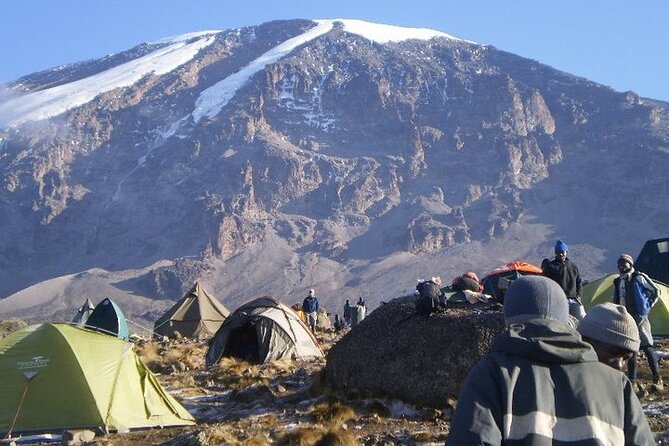 1-Day Hike - Mount Kilimanjaro - Tour Operator