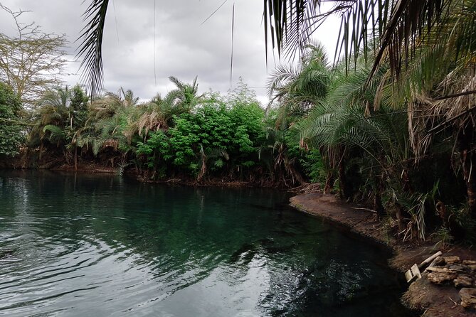 1 Day Hot Springs - Location: Moshi, Tanzania