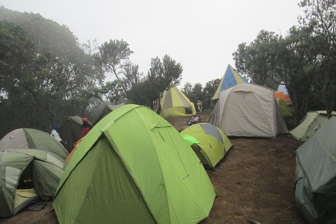 1 Day Kilimanjaro Hike Machame Route - Itinerary Highlights