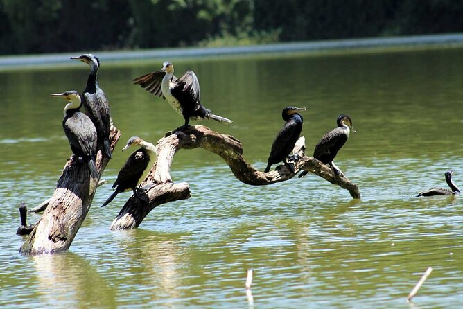1 Day Lake Duluti Hiking and Canoeing - Transportation and Logistics