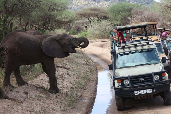 1 Day Lake Manyara Private Experience - Safety and Accessibility