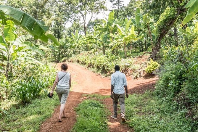 1 Day Private Materuni Village, Waterfalls - Health and Accessibility Details