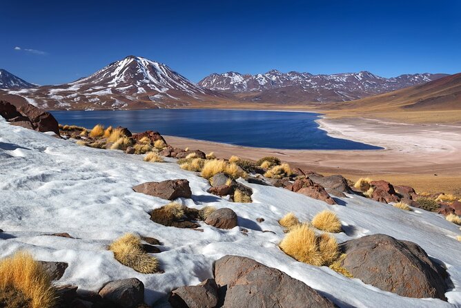 1-Day Tour Altiplanic Lagoons and Piedras Rojas and Laguna Chaxa - Booking Confirmation