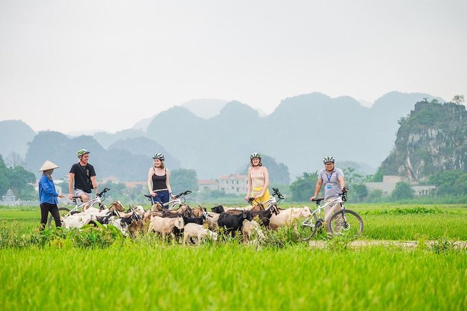 1 Day Trip Hoa Lu-Tam Coc-Buffet Lunch, Limosine, Biking, Boating - Booking Instructions