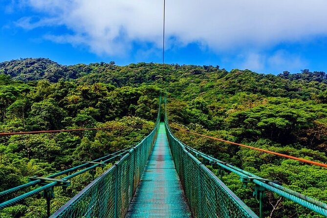 1 Full Private Tour to Arenal Volcano + Baldi Hot Springs - Booking Confirmation
