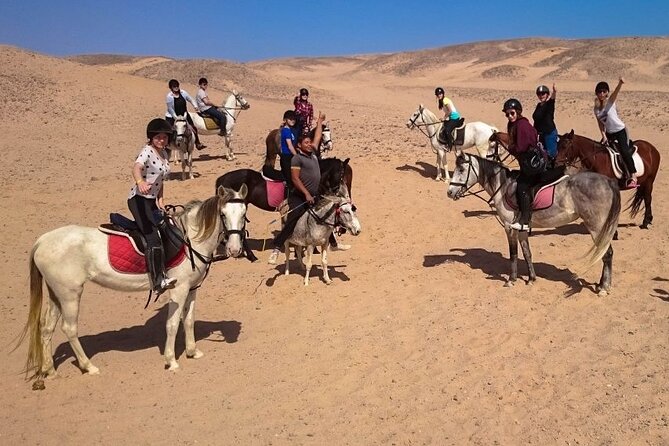 1-Hour Horse Ride Adventure in Sharm El-Sheikh - Pricing Details