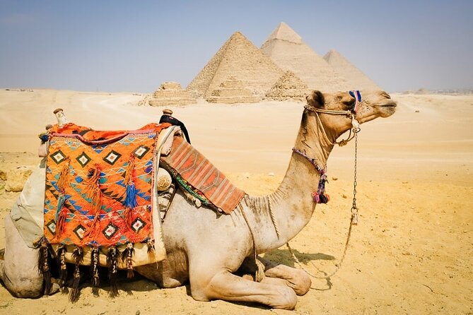 1 Hour Private Camel Ride At Giza Pyramids - Activity Overview