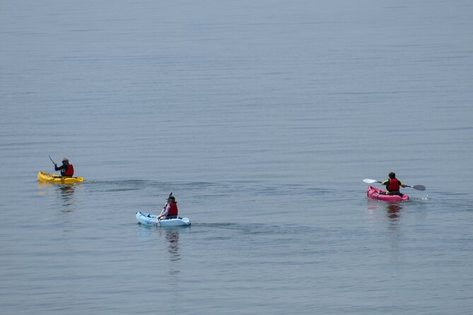 1-Hour Private Canoeing Experience in Trincomalee - Booking Information