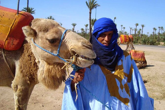 1 Hour Shared Camel Ride in Palmeraie - Group Size Limit