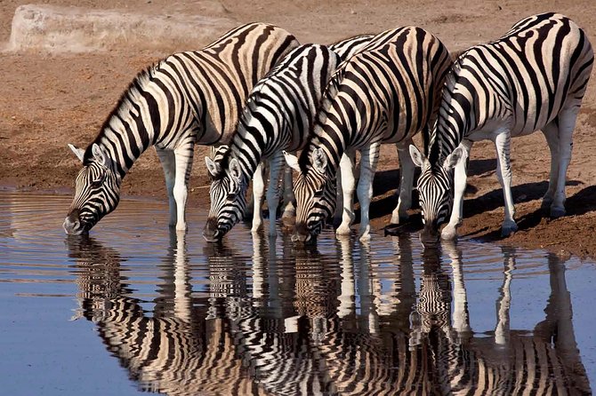 10 Days / 9 Nights Private Group Safari - Dining Experience