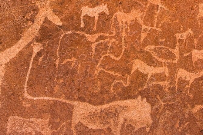 10 Days Beauty of Namibia | Camping - Pickup and Transportation
