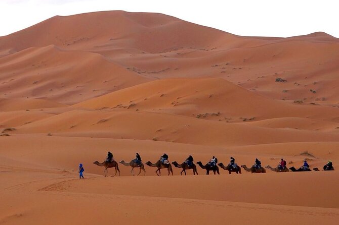 10 Days in Morocco : Southern Morocco Nature, Morocco Coast - Trip Highlights
