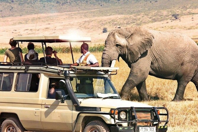 10-Days Private Luxury Safari: Serengeti, Ngorongoro & Materuni - Gourmet Dining Experience