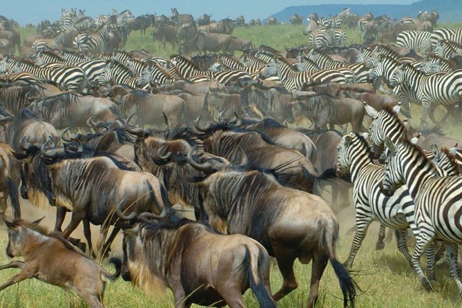 11 Days / 10 Nights Join Group Safari - Additional Important Guidelines