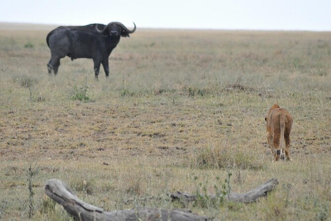 12-Day Private Tanzania Safari - Cultural Experiences