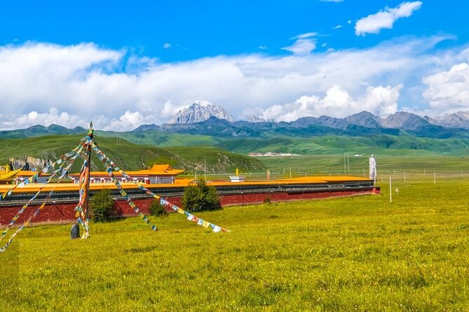 12-Day Private Tour to the Last Paradise--Sichuan to Yunnan - Experienced Tour Guides