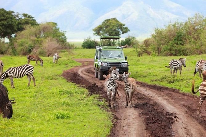 13 Days/ 12 Days Private Group Safari. - Meeting Point and Start Time