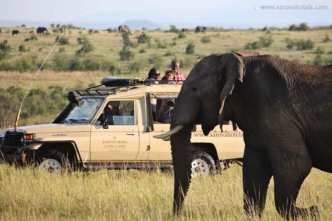 14-DAY Volunteer Orphanage Masai Mara and Lake Nakuru Safari From Nairobi - Itinerary Breakdown