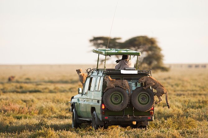14-Days Kenya and Tanzania Big 5 Wildlife Camping Safari From Nairobi - Pickup Information and Logistics