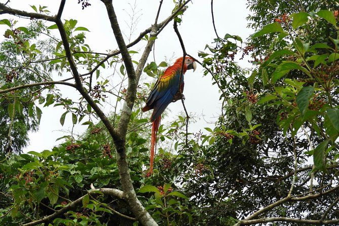 15 Days Classic Highlights Ecuador & Galapagos Islands - Assistance and Language Support