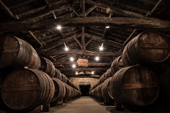 150-Minute VIP Visit of a Vineyard in Segonzac With Cocktail Break - Expectations and Price