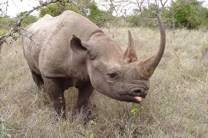 16 Day Great Adventure Kenya - Tanzania Clasic Safari (MINIMUM 2 PAX) - Cultural Encounters