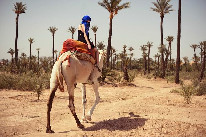 2 Activity in Some Day in Agadir Camel Ride & City Tour Agadir - Inclusions Provided