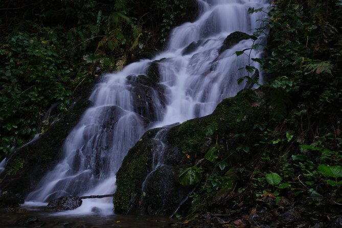 2 Day Backpacking And Hiking Tour in Mtirala National Park - Important Information