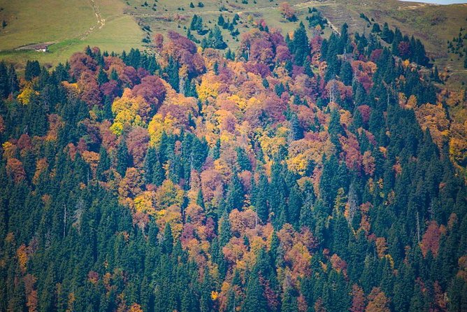 2-Day Hike in Borjomi-Kharagauli National Park - Price and Booking