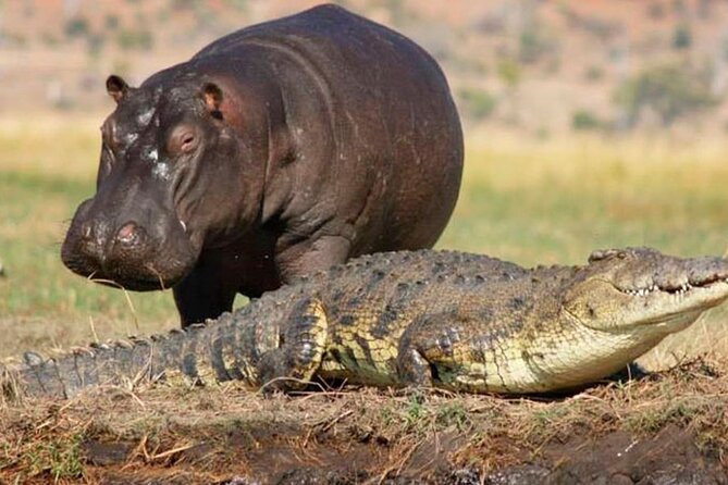 2 Day Hluhluwe Isimangaliso Wetlands Park Hippo Croc From Durban - Group Participation