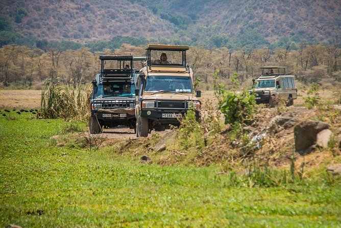 2 Day Ngorongoro & Lake Manyara Romantic Safari - Inclusions & Services