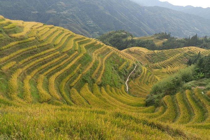 2-Day Private Tour: Longji Rice Terraces and Sanjiang With the Hotel - Cancellation Policy
