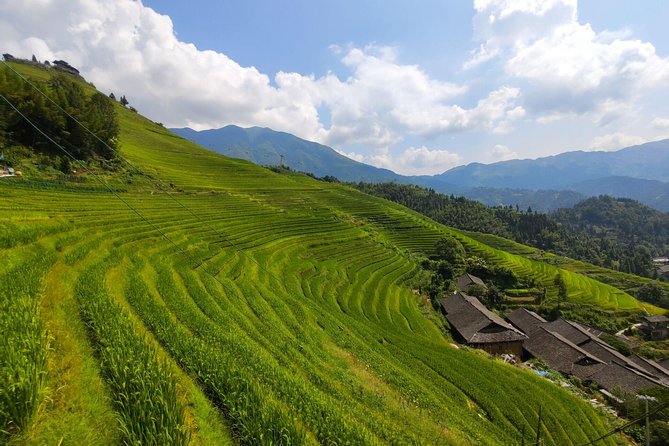 2-Day Private Tour: Longji Rice Terraces and Ziyuan Bajiaozhai Geography Park - Cancellation Policy