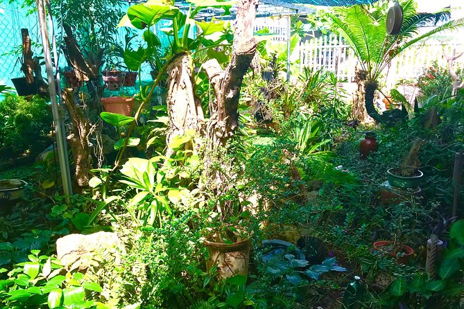 2 Days 1 Night Trekking And Camping At Nui Chua National Park - Pickup and Drop-off Logistics