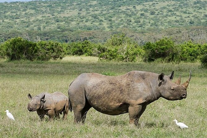 2 Days Aberdare National Park & Solio Ranch Safari - Scenic Landscapes