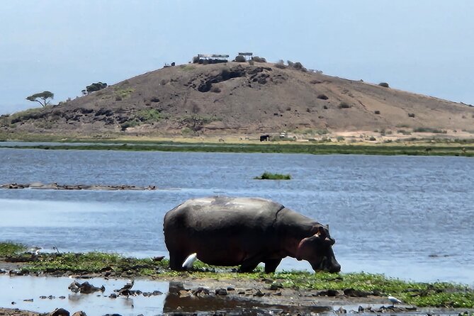 2 Days Amboseli Express Deluxe Tours - Booking Information