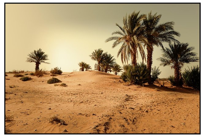 2 Days Desert Tour From Marrakech to Zagora - Important Travel Considerations