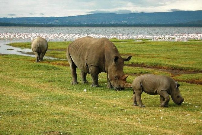 2 Days Lake Naivasha-Hells Gate-Lake Nakuru Tour From Nairobi - Pickup and End Point Details
