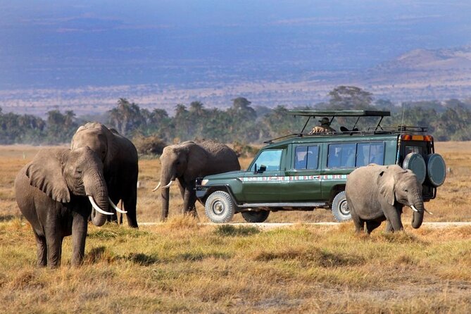 2 Days Maasai Mara National Reserve Private Safari From Nairobi - Safari Overview