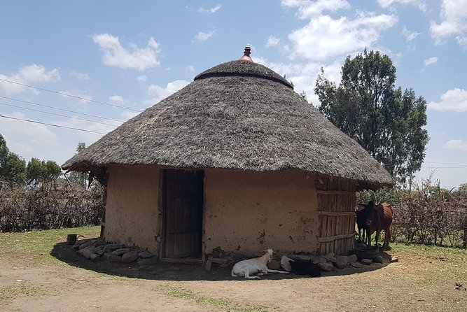 2 Days Nature Tour From Addis Ababa to Awash National Park - Pickup Information