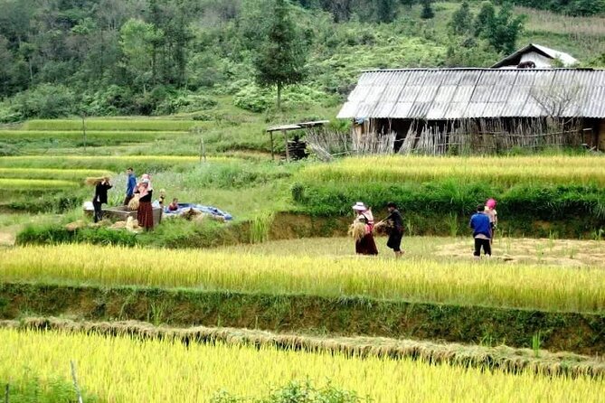 2-Days Private Sapa Adventure in Fansipan Peak and Amazing Village - Pickup Information