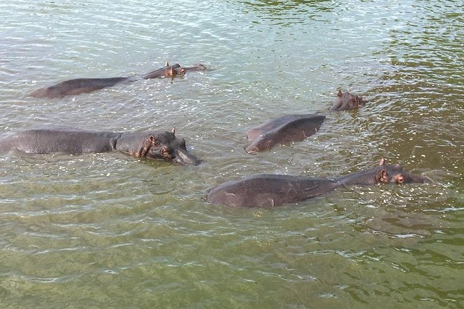 2 Days Queen Elizabeth National Park Safari - Itinerary Details